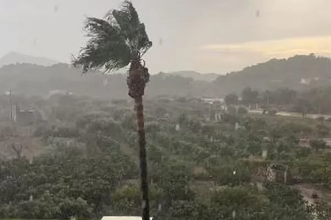 rain