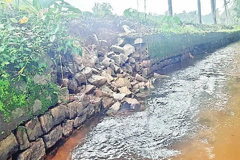 tadegode