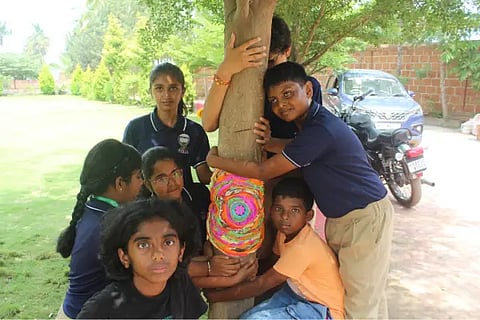 tree rakhi