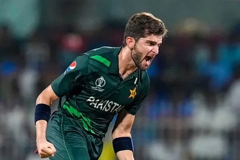 Shaheen Afridi fitting reply