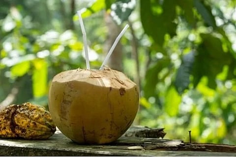 ವಿಜಯವಾಣಿ-8