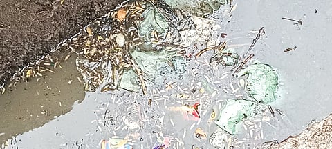 0209Klb04
