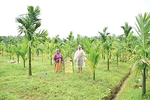 12sri-1 narega