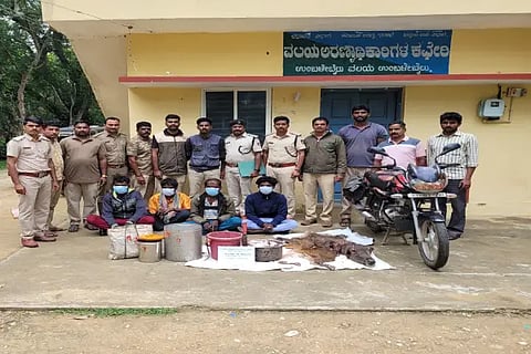 Kadave Shikari