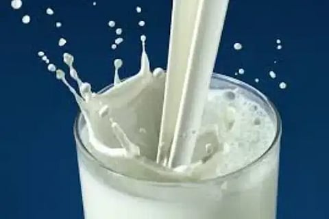 MILK