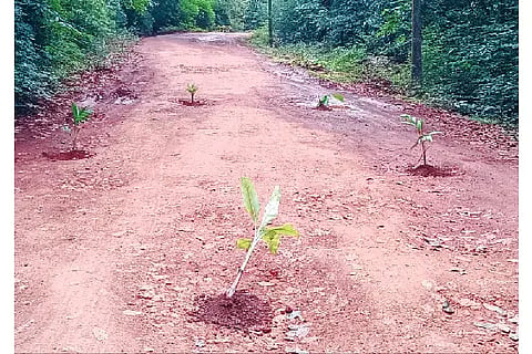 YLP ROAD