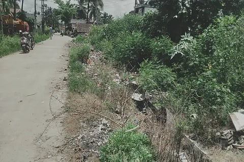 anr drainage