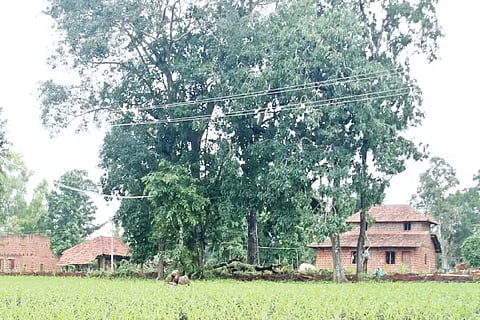 house
