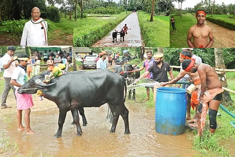kambala