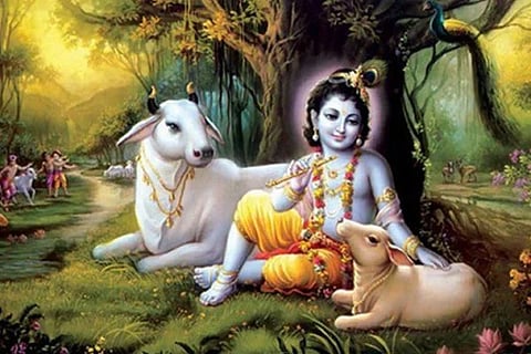 krishna