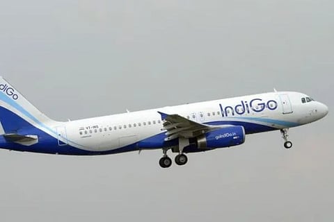 indigo