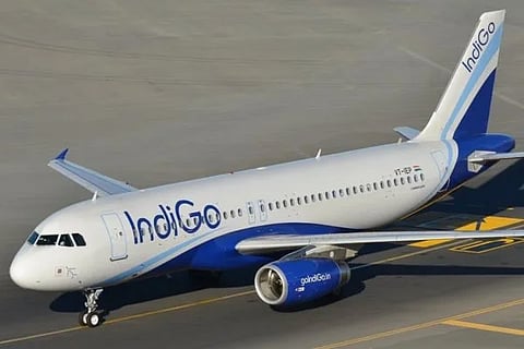 indigo airlines
