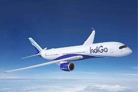 indigo