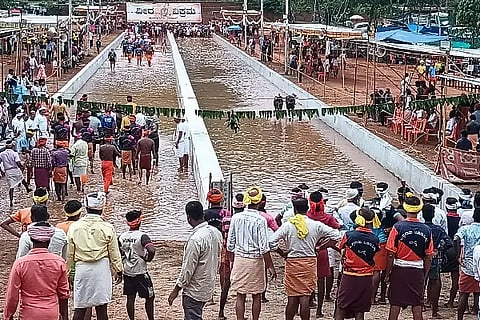 Btw_Kambala