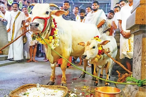 Dharmasthala