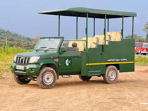 Jangal Saffari Ranebennur