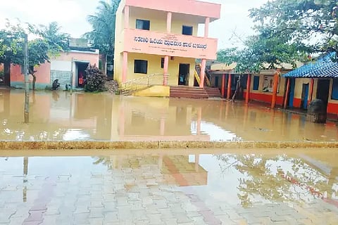 school