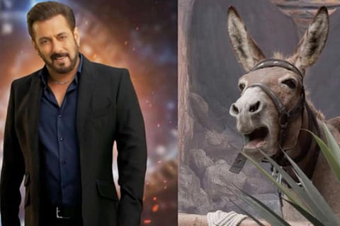 PETA India urges Salman Khan Bigg Boss 18 makers to remove donkey from show