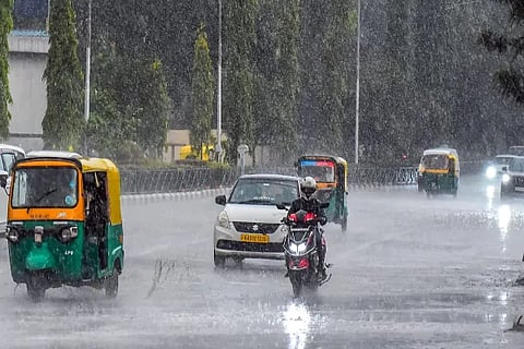 Rains