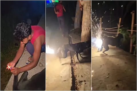 Viral Video