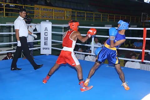 boxing championship