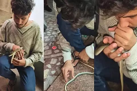 CPR to Snake