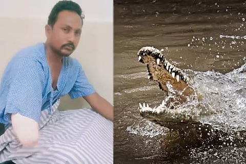 Crocodile attack