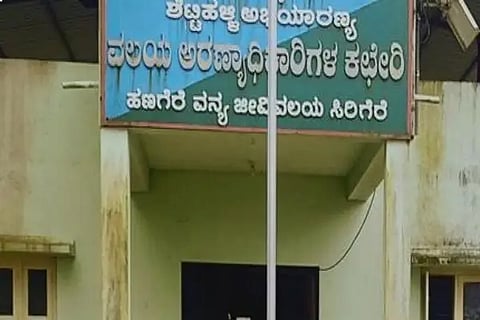 sirigere forest dept