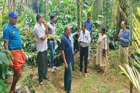 sri krushi