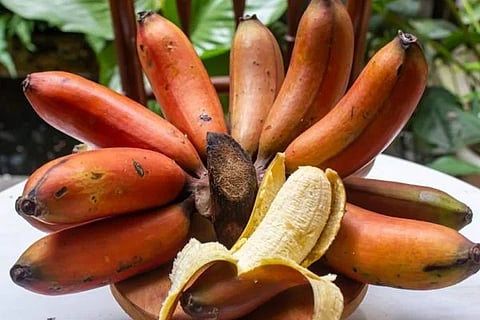 banana