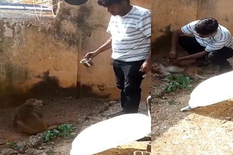 Heartwarming Rescue