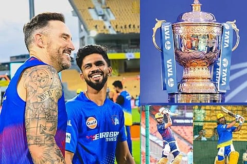 New Project (1)