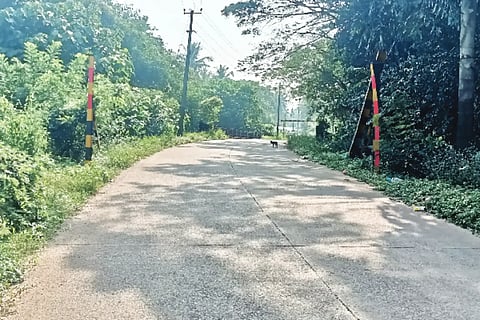 New Project (22)