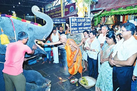 Sub_Elephant