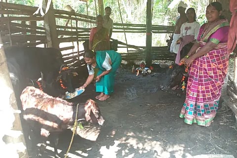 bhr gopoje
