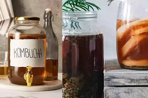 Kombucha Tea