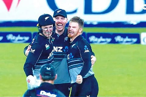 web nz