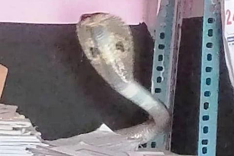 ವಿಜಯವಾಣಿ (6)