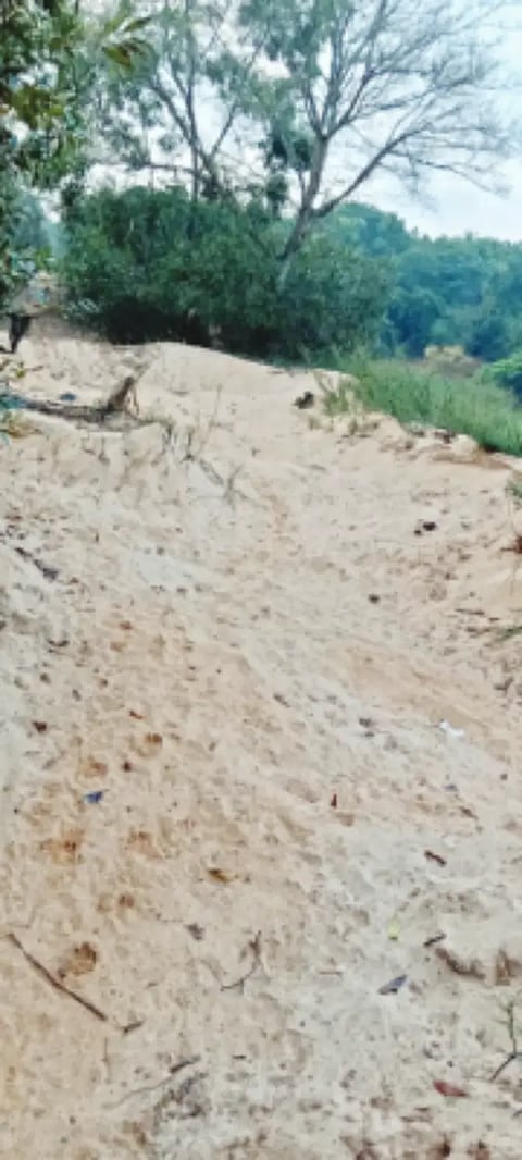 09koppa02 sand