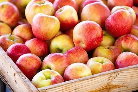 Apples