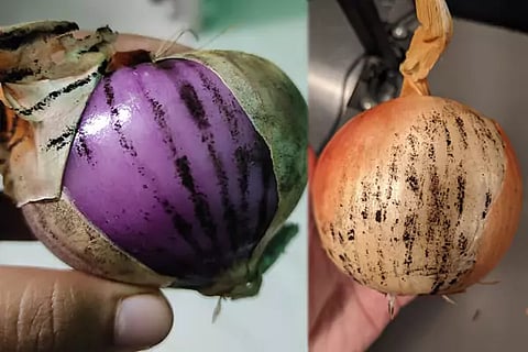 Black Spot Onion