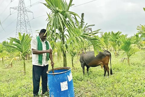hhr farmer