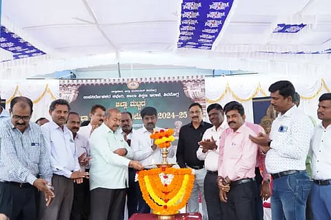 mla