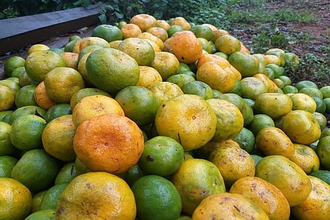 orange