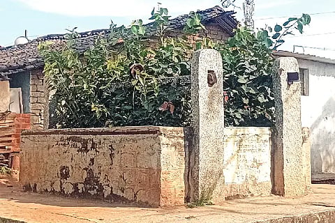 28 MYK