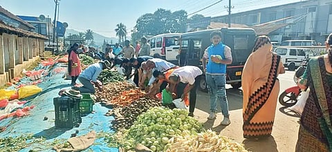 5Koppa01 vegetable