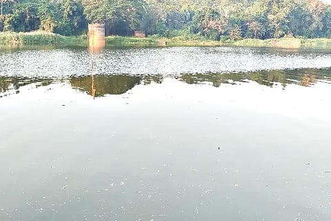 New Project (5)