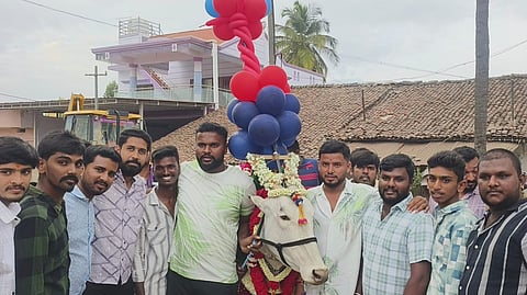 Sankranti festival celebration in Basaralu village Mandya
