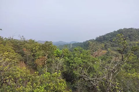 Westren Ghats