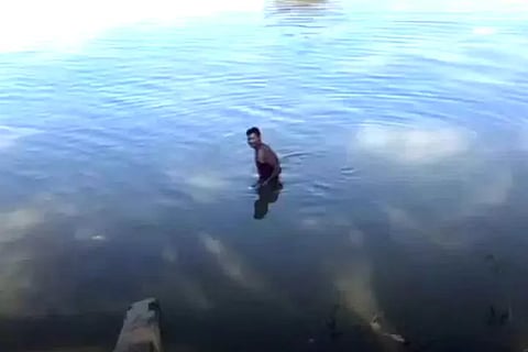 Pond